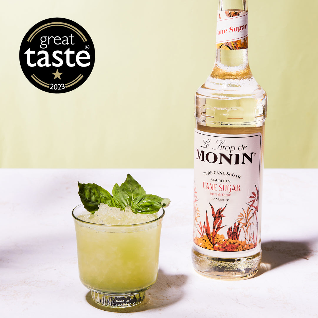 MONIN Premium Pure Cane Sugar Syrup