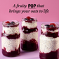 Opies Summer Berry Compote
