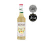MONIN Ginger concentrate
