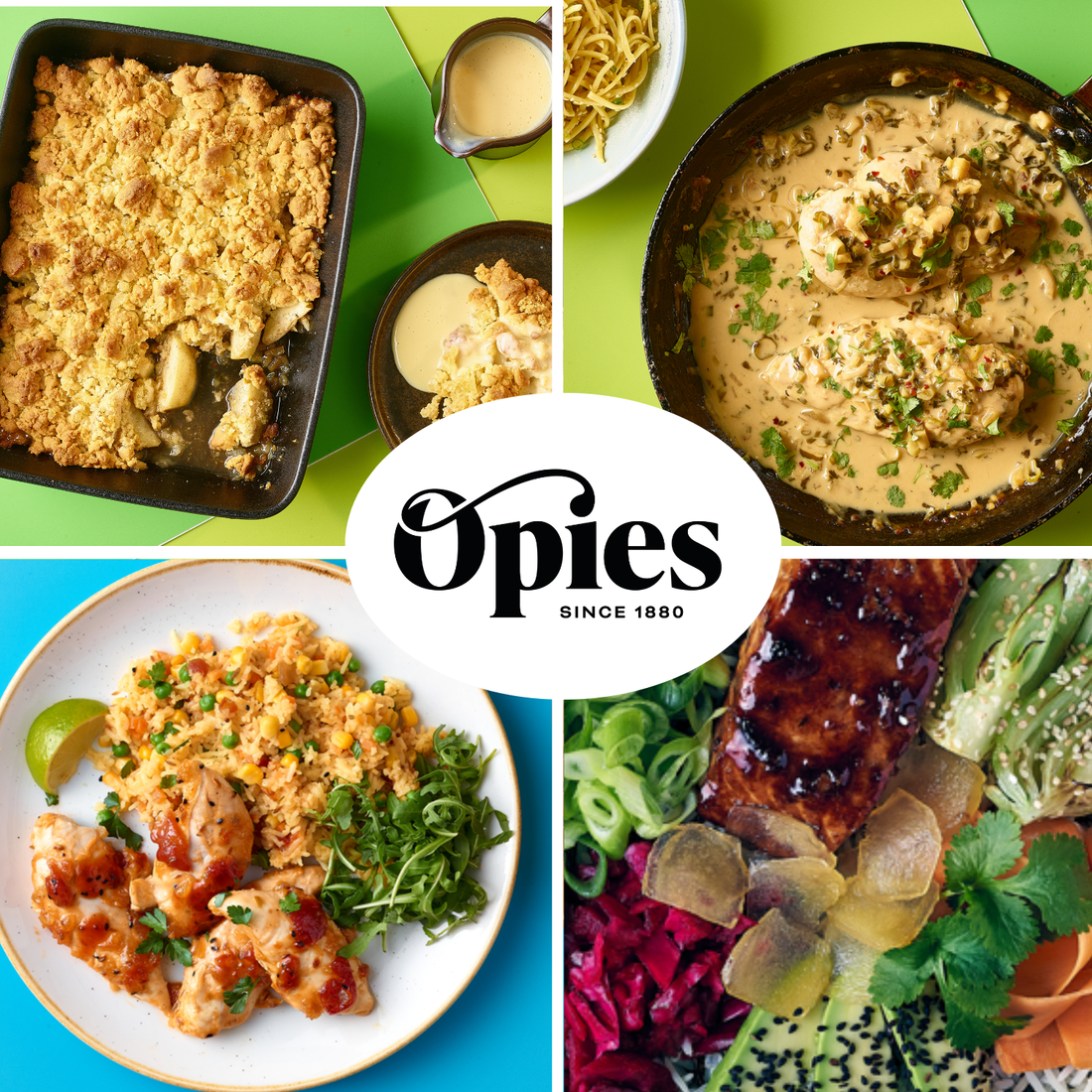 Opies Stem Ginger In Syrup