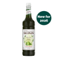 MONIN Matcha Green Tea concentrate