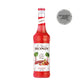 MONIN Rhubarb syrup