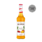 MONIN Spicy Mango syrup