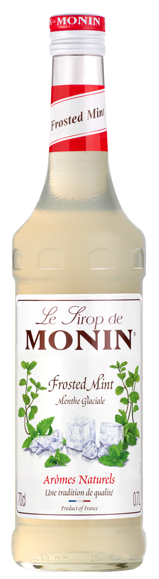 MONIN Premium Frosted Mint syrup 700 ml