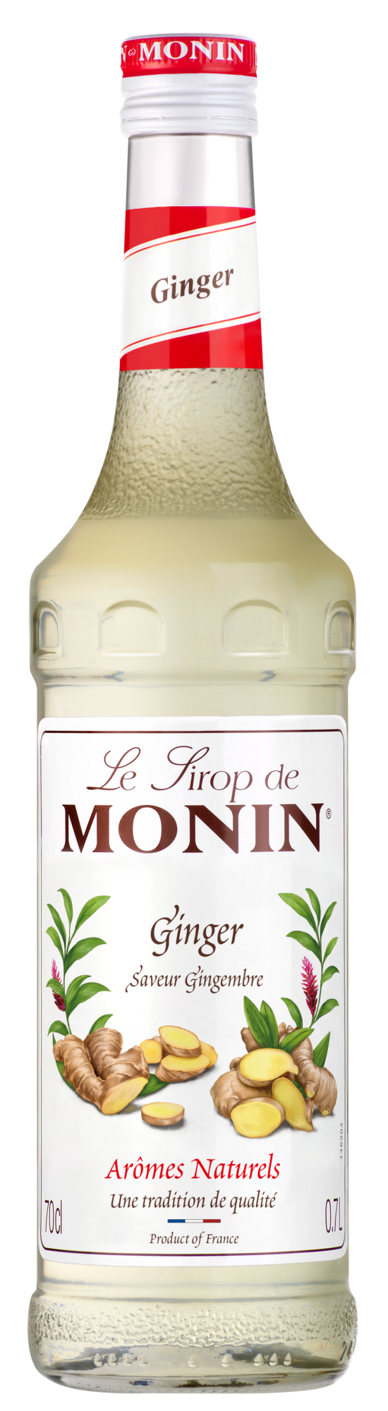 MONIN Premium Ginger Syrup 700 ml