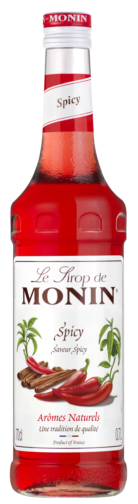 MONIN Premium Spicy syrup 700 ml